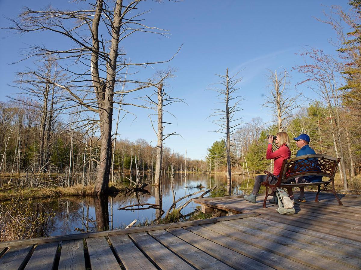 Hotel Taboo Muskoka Gravenhurst Exterior foto